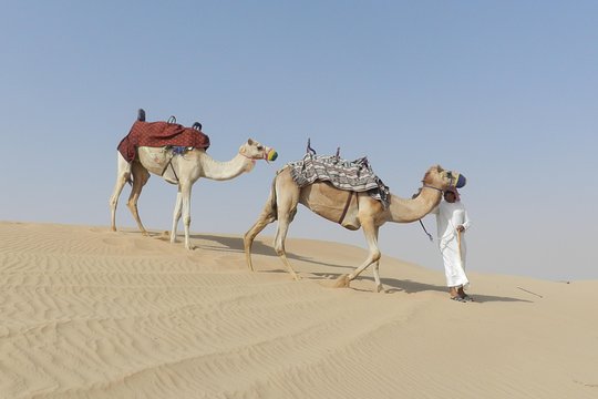 Tour image 8